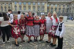 dobronyi-rozsak-legnagyobb-citeraegyuttes-guiness-05