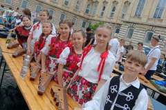 dobronyi-rozsak-legnagyobb-citeraegyuttes-guiness-09