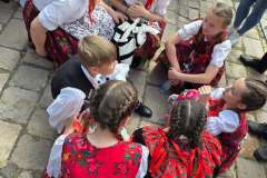 dobronyi-rozsak-legnagyobb-citeraegyuttes-guiness-10