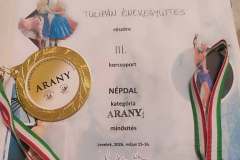 beregszaszi-tulipanosok-a-xix-kretakoron-09