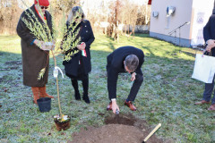 cipo-emlekhaz-avatasa-43