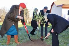 cipo-emlekhaz-avatasa-46