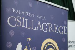 csillagrege-tulipan-ardo-01