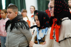 csillagrege-tulipan-ardo-31