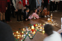 csillagrege-tulipan-ardo-51