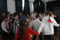 csillagrege-tulipan-ardo-54