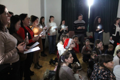 csillagrege-tulipan-ardo-60