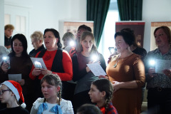 csillagrege-tulipan-ardo-62