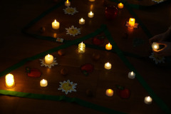 csillagrege-tulipan-ardo-64