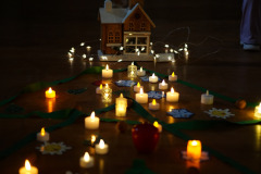 csillagrege-tulipan-ardo-65