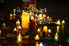 csillagrege-tulipan-ardo-66