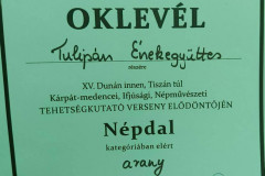 dunan-innen-tiszan-tul-elodonto-23