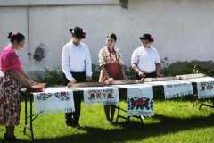 fellepes-a-pro-cultura-subcarpathica-evzarojan-02