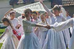 fellepes-a-pro-cultura-subcarpathica-evzarojan-05