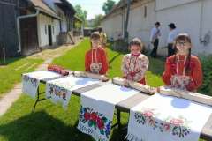 fellepes-a-pro-cultura-subcarpathica-evzarojan-08