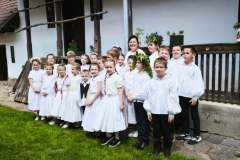fellepes-a-pro-cultura-subcarpathica-evzarojan-14