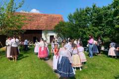 fellepes-a-pro-cultura-subcarpathica-evzarojan-15