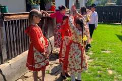fellepes-a-pro-cultura-subcarpathica-evzarojan-17