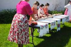 fellepes-a-pro-cultura-subcarpathica-evzarojan-18