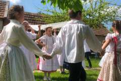 fellepes-a-pro-cultura-subcarpathica-evzarojan-24