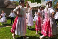 fellepes-a-pro-cultura-subcarpathica-evzarojan-25