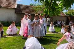 fellepes-a-pro-cultura-subcarpathica-evzarojan-26