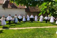 fellepes-a-pro-cultura-subcarpathica-evzarojan-27