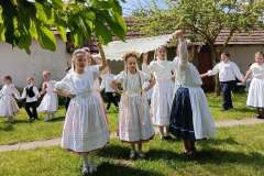 fellepes-a-pro-cultura-subcarpathica-evzarojan-28