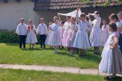 fellepes-a-pro-cultura-subcarpathica-evzarojan-30