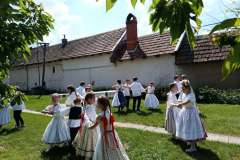 fellepes-a-pro-cultura-subcarpathica-evzarojan-32