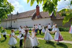 fellepes-a-pro-cultura-subcarpathica-evzarojan-33