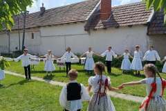 fellepes-a-pro-cultura-subcarpathica-evzarojan-34