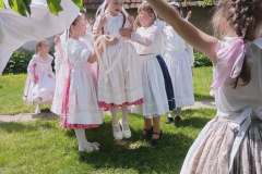 fellepes-a-pro-cultura-subcarpathica-evzarojan-36