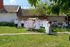 fellepes-a-pro-cultura-subcarpathica-evzarojan-37