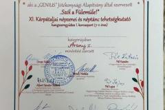 szol-a-fulemule-2025-41
