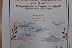szol-a-fulemule-2025-48