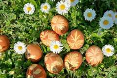 husveti-foglalkozasok-26-21