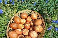 husveti-foglalkozasok-26-22