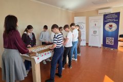 kajdanoi-tulipan-tabor-2026-21