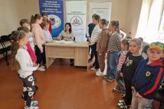 kajdanoi-tulipan-tabor-2026-23