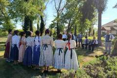 majusfa-allitas-26-001