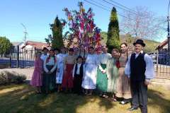 majusfa-allitas-26-006