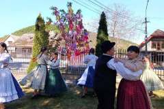 majusfa-allitas-26-008