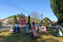 majusfa-allitas-26-013