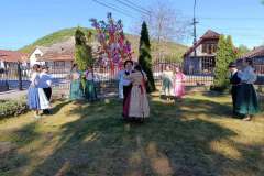 majusfa-allitas-26-019