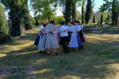 majusfa-allitas-26-020