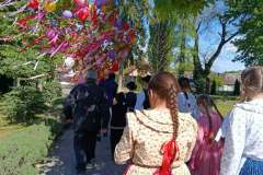 majusfa-allitas-26-029