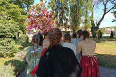 majusfa-allitas-26-030