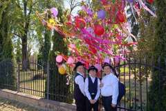 majusfa-allitas-26-032