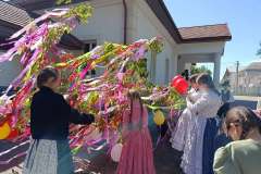 majusfa-allitas-26-034